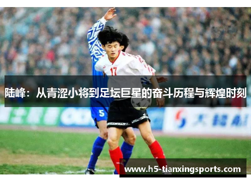 陆峰：从青涩小将到足坛巨星的奋斗历程与辉煌时刻