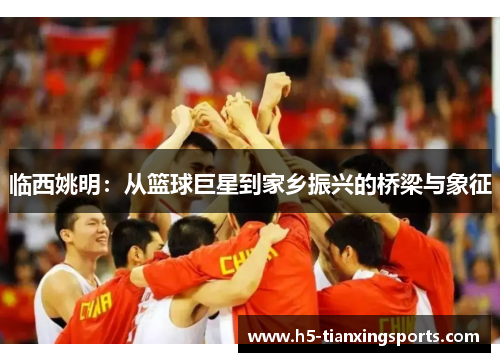 临西姚明：从篮球巨星到家乡振兴的桥梁与象征
